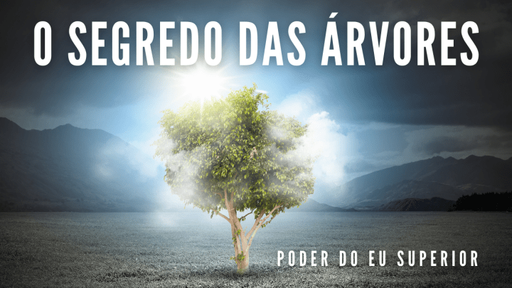 A vida secreta das árvores