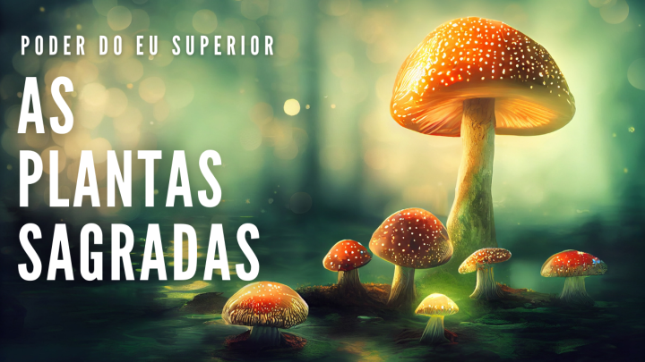 Guias espirituais | As plantas&nbsp;sagradas